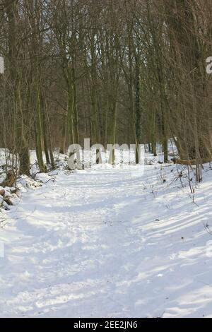 Winter im Stadtpark Staddijk Stockfoto