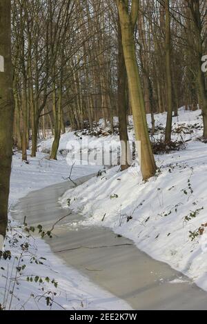Winter im Stadtpark Staddijk Stockfoto