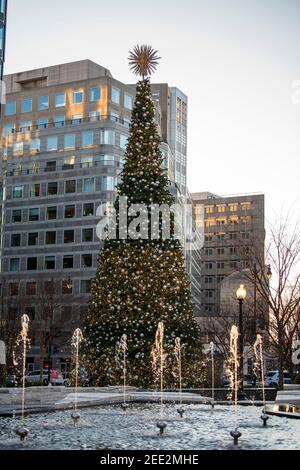 Ein Brunnen funkelt im Nachmittagslicht in der Nähe eines großen Weihnachtsbaums in Washington DC. Das Stadtzentrum ist mit Lichtern und Ornamenten für die wi dekoriert Stockfoto