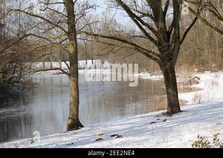Winter im Stadtpark Staddijk Stockfoto