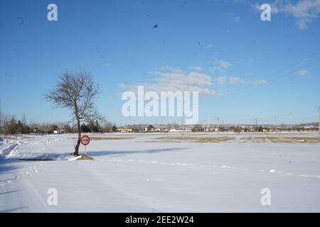 Feld in sonnigen Tag mit Schnee im Norden von spanien mit Baumschatten und einem blauen Himmel mit einigen Wolken Stockfoto