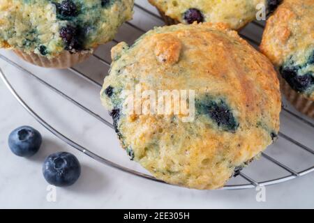 Hausgemachte Blaubeer-Muffins frisch in der heimischen Küche gebacken. Stockfoto