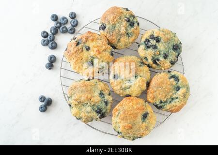 Hausgemachte Blaubeer-Muffins frisch in der heimischen Küche gebacken. Stockfoto