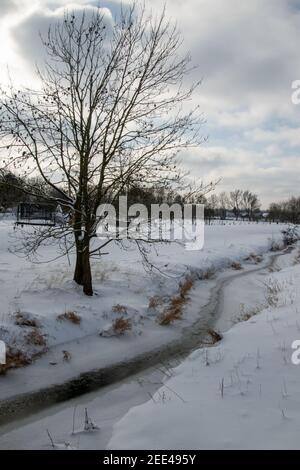 Winterbeginn in Bünde. Alles ist von tiefem Schnee bedeckt. Ein kleiner Bach, Graben schlängelt sich hier durch die Landschaft. Stockfoto