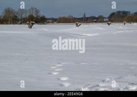 Winterbeginn in Bünde. Alles ist von tiefem Schnee bedeckt. Ein kleiner Bach, Graben schlängelt sich hier durch die Landschaft. Stockfoto