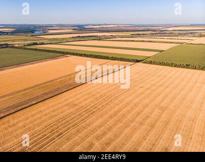 Wunderschöne Landschaft patchwork Muster der Kulturlandschaft von Drone pov, Felder von Mais, Sojabohnen und Weizen aus hohen Winkel anzeigen Stockfoto
