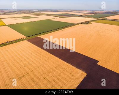 Wunderschöne Landschaft patchwork Muster der Kulturlandschaft von Drone pov, Felder von Mais, Sojabohnen und Weizen aus hohen Winkel anzeigen Stockfoto