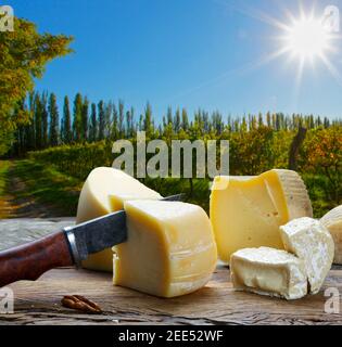 Verschiedene Käsesorten Stockfoto