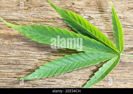 Cannabisblatt auf Holzhintergrund Stockfoto