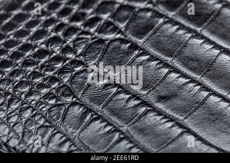 Textur Material Kunstleder mit schwarzem Krokodil Hautmuster dunkles Material Hintergrund Nahaufnahme, niemand. Stockfoto