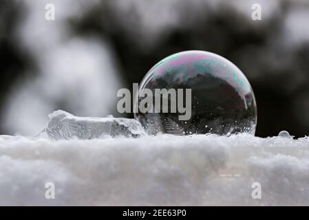 Eine gefrorene Seifenblase auf weißem Schnee mit dunklem Hintergrund Stockfoto