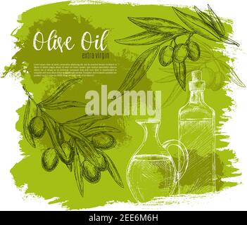Olivenöl Skizze Vektor Poster von grünen Oliven und Zweig mit Ölflasche und Krug. Design von Oliven Früchte Bündel für vegetarische Lebensmittel Salat Aroma i Stock Vektor