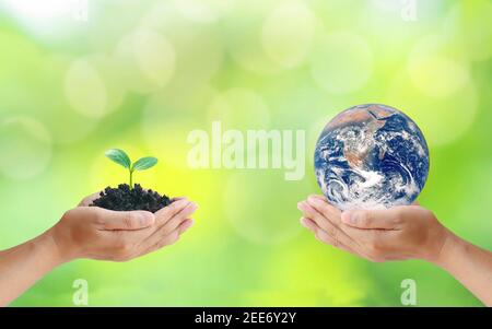 Austausch von Planeten in den Händen des Menschen mit jungen Pflanzen in den Händen des Menschen, Konzept des Erdtages und Erhaltung der Umwelt.Elemente Stockfoto