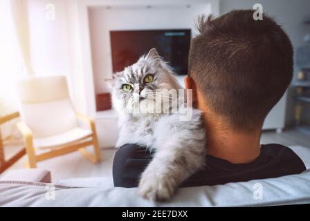 Katze sitzt auf der Schulter seines Besitzers. Junger Mann, der sich mit seinem Haustier ausruhte. Häusliches Leben Stockfoto