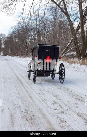 Amish Buggy unterwegs auf der Landstraße, Winter, ländliches Indiana, USA, von James D. Coppinger/Dembinsky Photo Assoc Stockfoto
