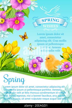 Frühlingsferien Vektor Grußkarte mit Frühlingsblumen. Florales Design aus blühenden Tulpen, Krokussen oder Narzissen, Lilienblüten und Narzissen mit Witz Stock Vektor