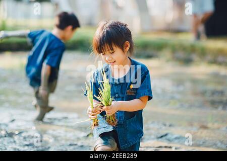 Kleine Kinder spielen und erkunden im Garten mit ihrem Pflanzsprießen. Konzept für umweltfreundliches Gartenbau und nachhaltiges Wohnen. Stockfoto