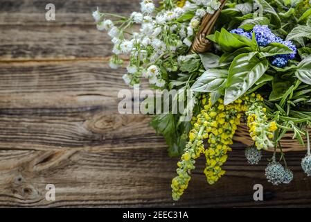 Sammlung von Kräutern, frische Gartenkräuter auf Holzhintergrund. Stockfoto