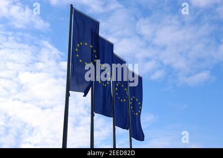 Europa-Flaggen vor dem EZB-Turm (Europäische Zentralbank) in Frankfurt Stockfoto