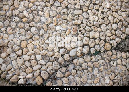 Grungy Foto Textur von Kieselsteinpflaster. Winzige Marmorschotterstraße. Kieselstruktur. Marine oder Meer Baumaterial. Steinmosaik natürlichen Hintergrund Stockfoto