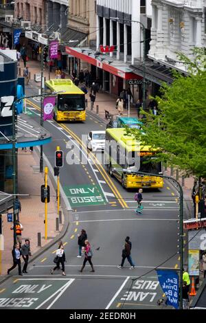 Busse in Lambton Quay, der Haupteinkaufsstraße in Wellington, North Island, Neuseeland Stockfoto