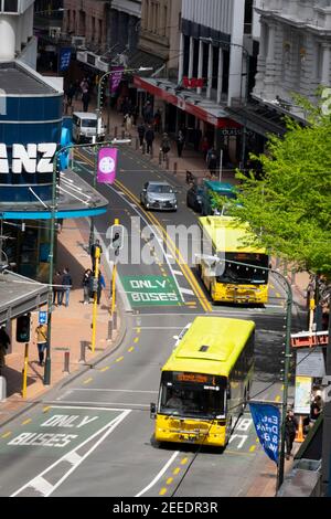 Busse in Lambton Quay, der Haupteinkaufsstraße in Wellington, North Island, Neuseeland Stockfoto