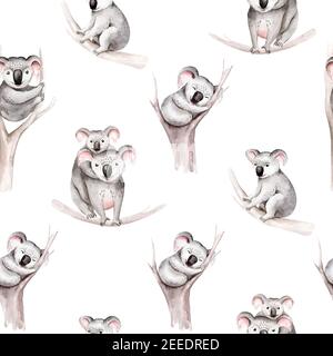 Aquarell nahtlose Muster Cartoon Baby Koala tropischen Tier Illustration. Exotischer Sommerdruck im Dschungel. Isoliertes Design des australischen Zoos Stockfoto