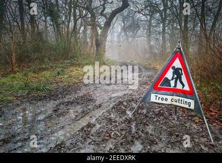 Ein Baumschnitt Zeichen auf einem soggy, neblig, Wintertag im King's Wood, ein Überrest der mittelalterlichen Rockingham Wald, Corby, England. Stockfoto