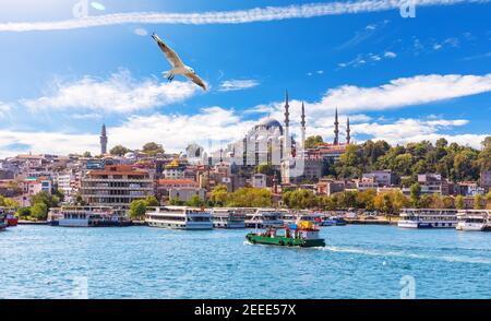 Möwe fliegt am Eminonu Pier und der Suleymaniye Moschee in Istanbul vorbei Stockfoto