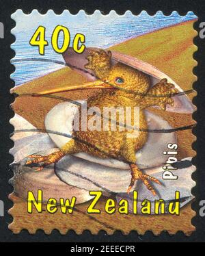 NEUSEELAND - UM 2000: Stempel gedruckt von Neuseeland, zeigt Kiwi mit Pipis, um 2000 Stockfoto