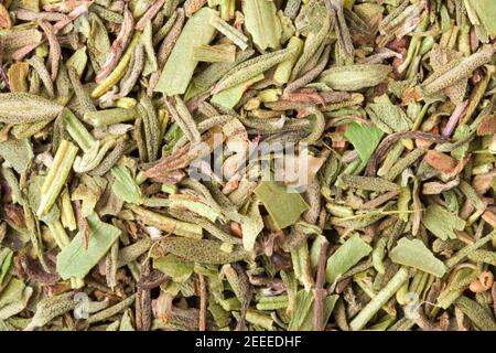 Kräuter der Provence als mediterrane Küche Zutaten und Geschmack Stockfoto