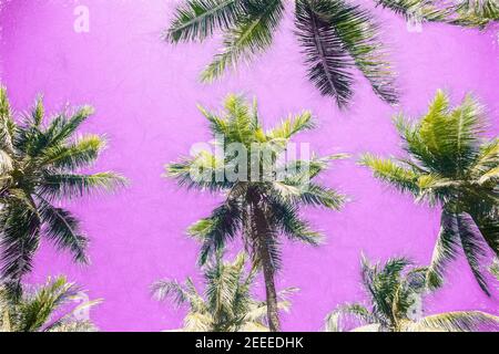 Fantastische Landschaft mit Palmen auf rosa Himmel. Tropische Natur Abstraktion. Kokospalmenwald. Idyllische tropische Insellandschaft digital illustrati Stockfoto