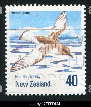 NEUSEELAND – UM 1990: Stempel gedruckt von Neuseeland, zeigt antarktischen Sturmvogel, um 1990 Stockfoto