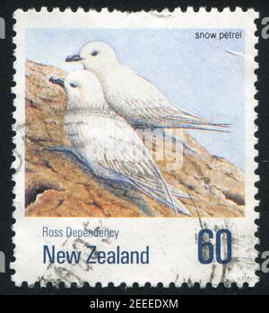 NEUSEELAND - UM 1990: Stempel gedruckt von Neuseeland, zeigt Schneesturmvogel, um 1990 Stockfoto