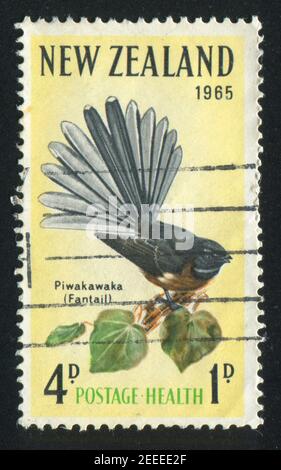 NEUSEELAND - UM 1965: Briefmarke gedruckt von Neuseeland, zeigt Fantail, um 1965 Stockfoto