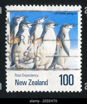 NEUSEELAND - UM 1990: Stempel gedruckt von Neuseeland, zeigt Pinguin-Kinnriemen, um 1990 Stockfoto