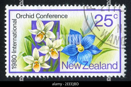 NEUSEELAND - UM 1980: Stempel gedruckt von Neuseeland, zeigt Orchidee, um 1980 Stockfoto