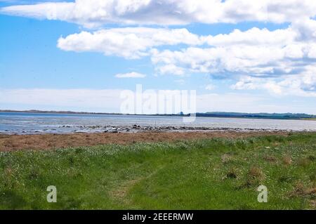 Papageitaucher brüten auf der Insel Fern Northumberland Stockfoto