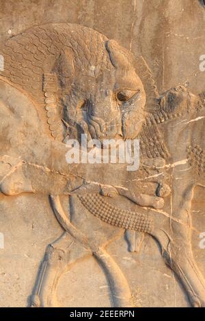 Szene aus der persischen Mythologie in der Apadana-Treppe, Persepolis, Iran Stockfoto