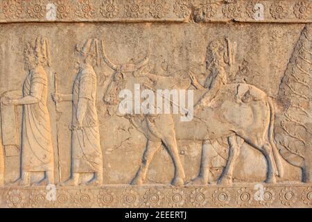 Reliefs in Persepolis, Iran Stockfoto