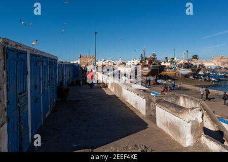 Essaouira, Marokko - 15. April 2016: Fischer im Hafen bei der Stadt Essaouira, mit den traditionellen Fischerbooten, an der Atlantikküste o Stockfoto