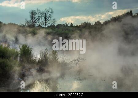 Ein dampfender, heißer geothermischer See, umgeben von Pflanzen. Kuirau Park, Rotorua, Neuseeland Stockfoto