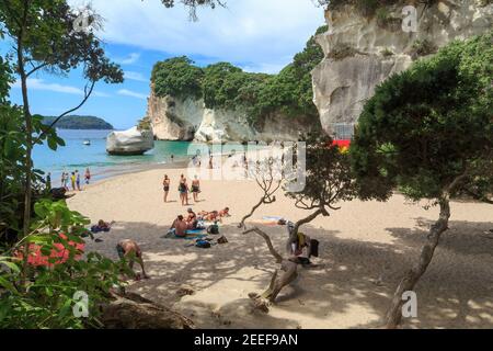 Mare's Leg Cove, ein Strand im Cathedral Cove Meeresschutzgebiet, Neuseeland. Im Wasser lächelt Sphinx Rock Stockfoto