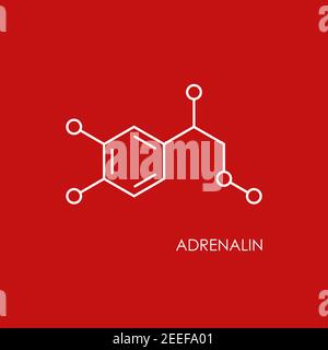 Adrenalin molecula Struktur. Weißes Liniensymbol auf rotem Hintergrund isoliert. Hormon Adrenalin, Neurotransmitter. Starke Emotionen, Energiesymbol Stock Vektor