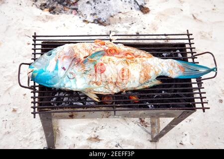 Grill, Korallenfische auf dem Grill. Frischer, roher Fisch auf Holzkohleofen. Grillen am Strand, frisch gefangener tropischer Fisch mit frischem Gemüse. Stockfoto