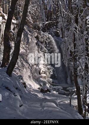 Atemberaubende Winterlandschaft mit Wasserfall Todtnauer Wasserfälle im verschneiten Wald mit gefrorenen Bäumen in der Wintersaison an sonnigen Tagen bei Todtnau. Stockfoto