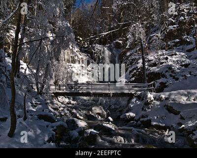 Schöne Winterlandschaft mit dem oberen Teil der Wasserfälle Todtnauer Wasserfälle im Winter mit schneebedeckten Bäumen und gefrorenen Brücke mit Eiszapfen. Stockfoto