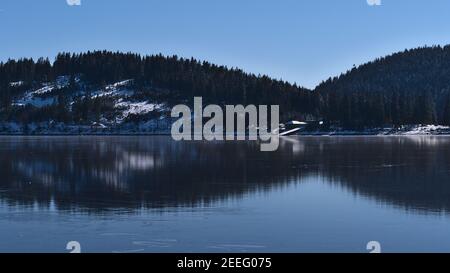 Ruhiger Blick auf den gefrorenen Schluchsee in den Schwarzwaldhügeln, Deutschland in der Wintersaison mit Nadelwald auf der Eisoberfläche reflektiert. Stockfoto