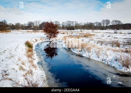 Der Fluss reest im Winter mit einer verschneiten Landschaft Im Naturschutzgebiet 'reestdal' im Weiler 'alt avereest' Stockfoto