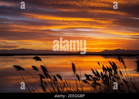 Das Nachglühen des Sonnenuntergangs erhellt die Wolken und das Wasser im Wasservogelmanagement-Gebiet Farmington Bay, Farmington, Davis County, Utah, USA. Stockfoto